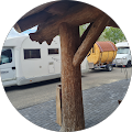 Profilbild von „Camp Casel“