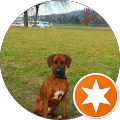 Profilbild von „Max Lange“