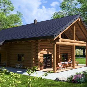 Eingangsbereich vom Naturstammhaus Kamenz mit überdachtem Holzportal und massiven Rundstämmen