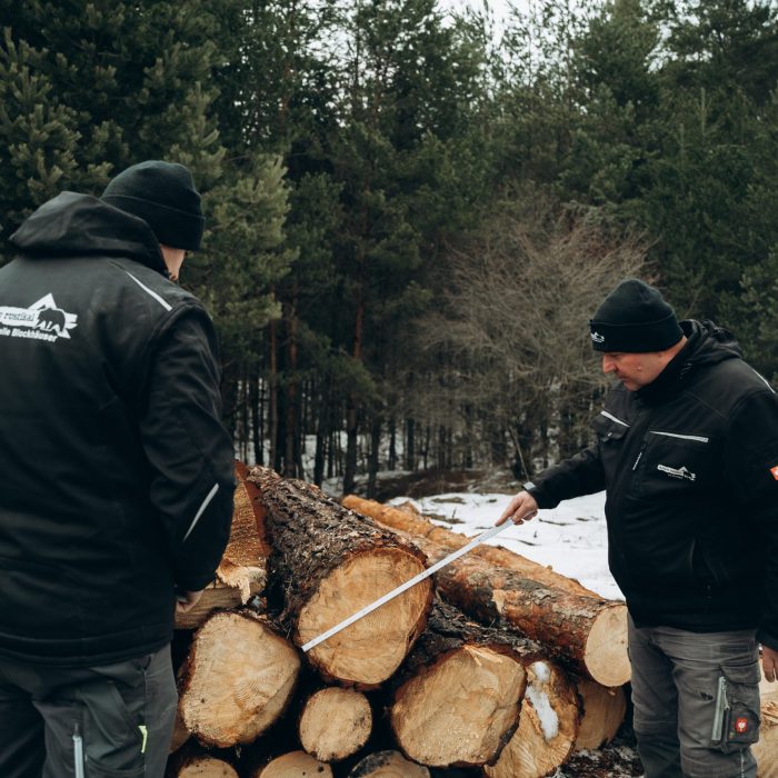 Holzbau-Rustikal-Team-Wald