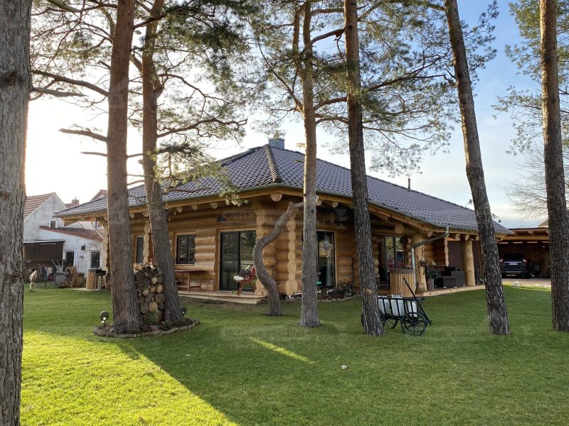 Außenansicht des Naturstammhauses „Potsdam“ mit Rundholzfassade, Satteldach und naturnaher Gartenfläche im Sommer